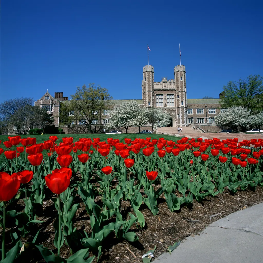 Brookings Hall w tulips